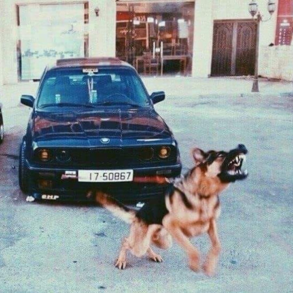 Meet your Posher, Ever